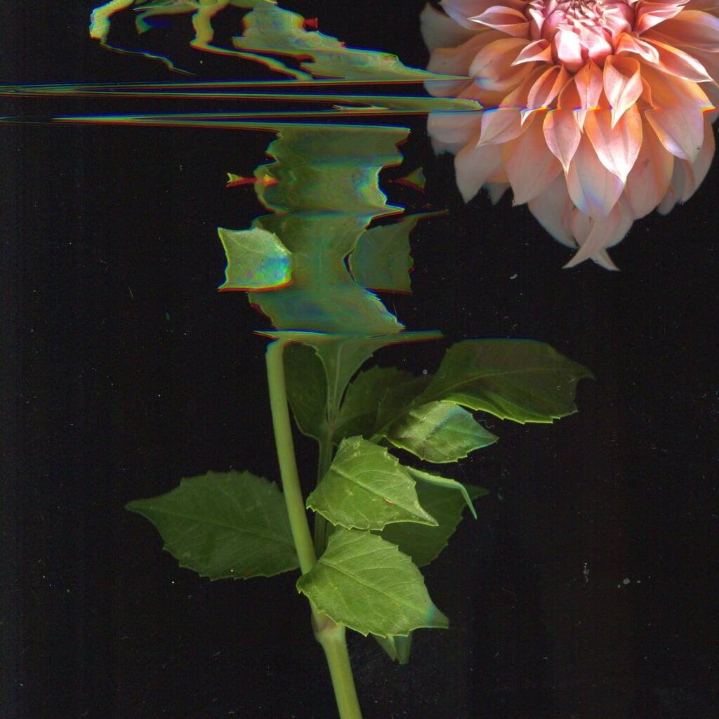 planting prelude I.